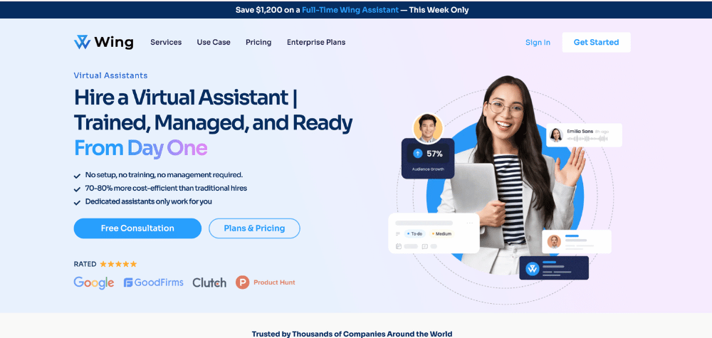 Wing Assistant - Hero section of the homepage